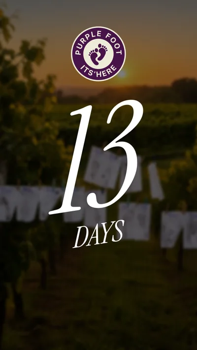 Story de Casa Larga con la cuenta regresiva de 13 días para el Purple Foot Festival
