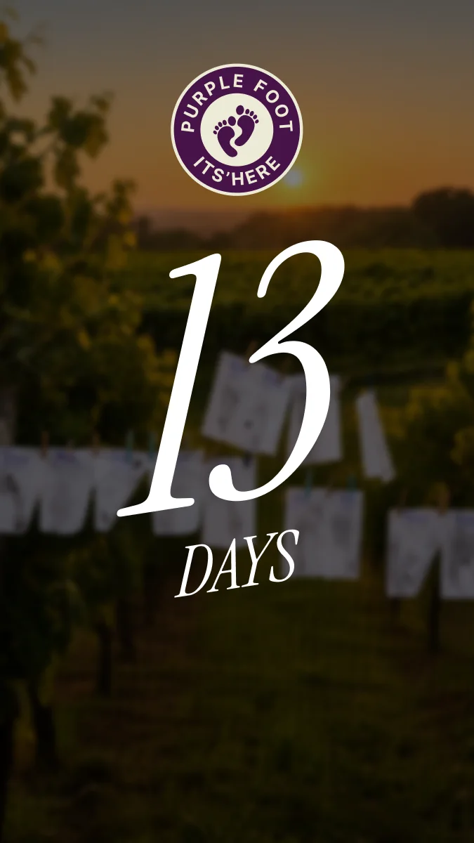 Casa Larga Purple Foot Festival countdown story