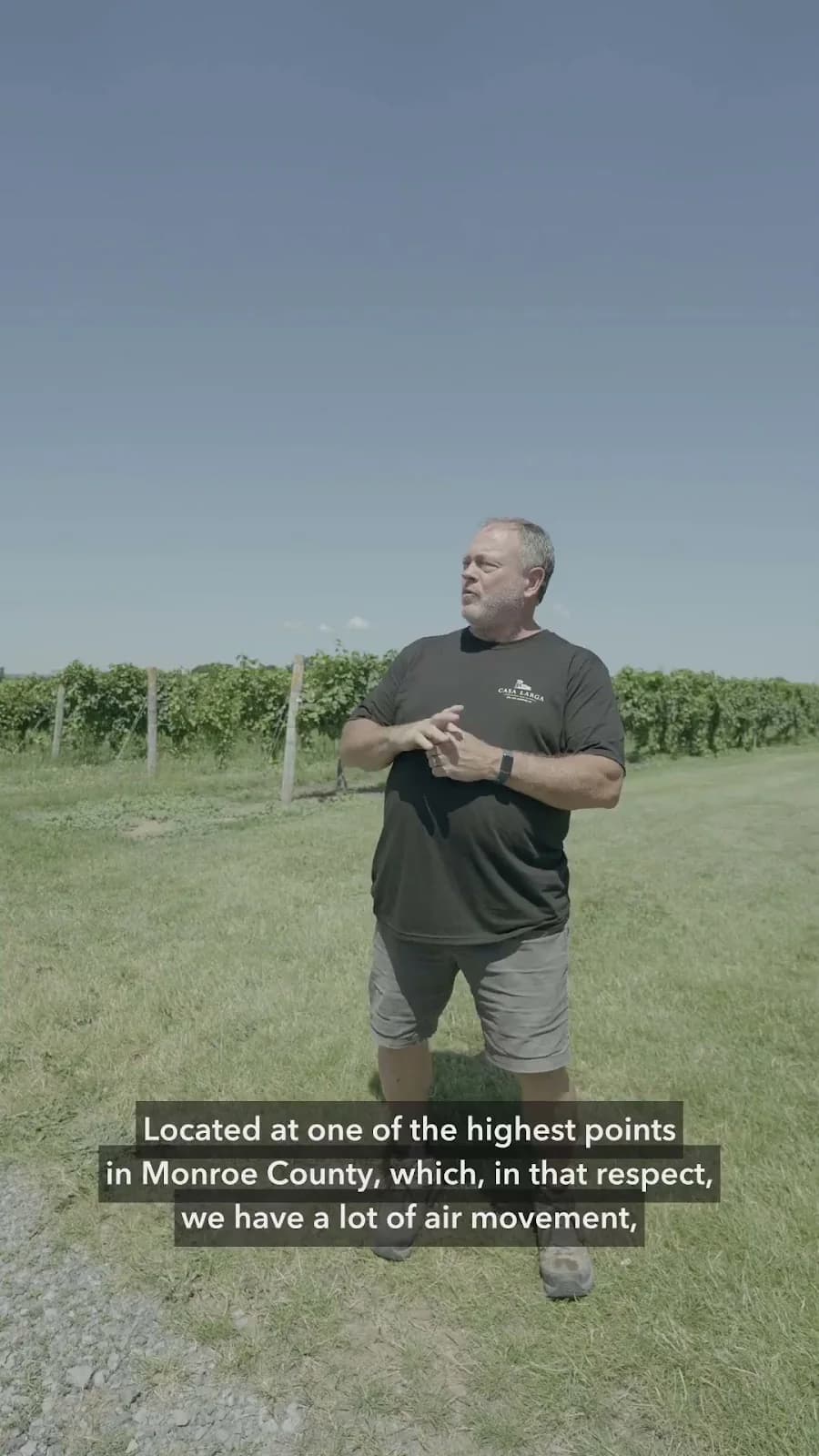 Reel del viñedo de Casa Larga